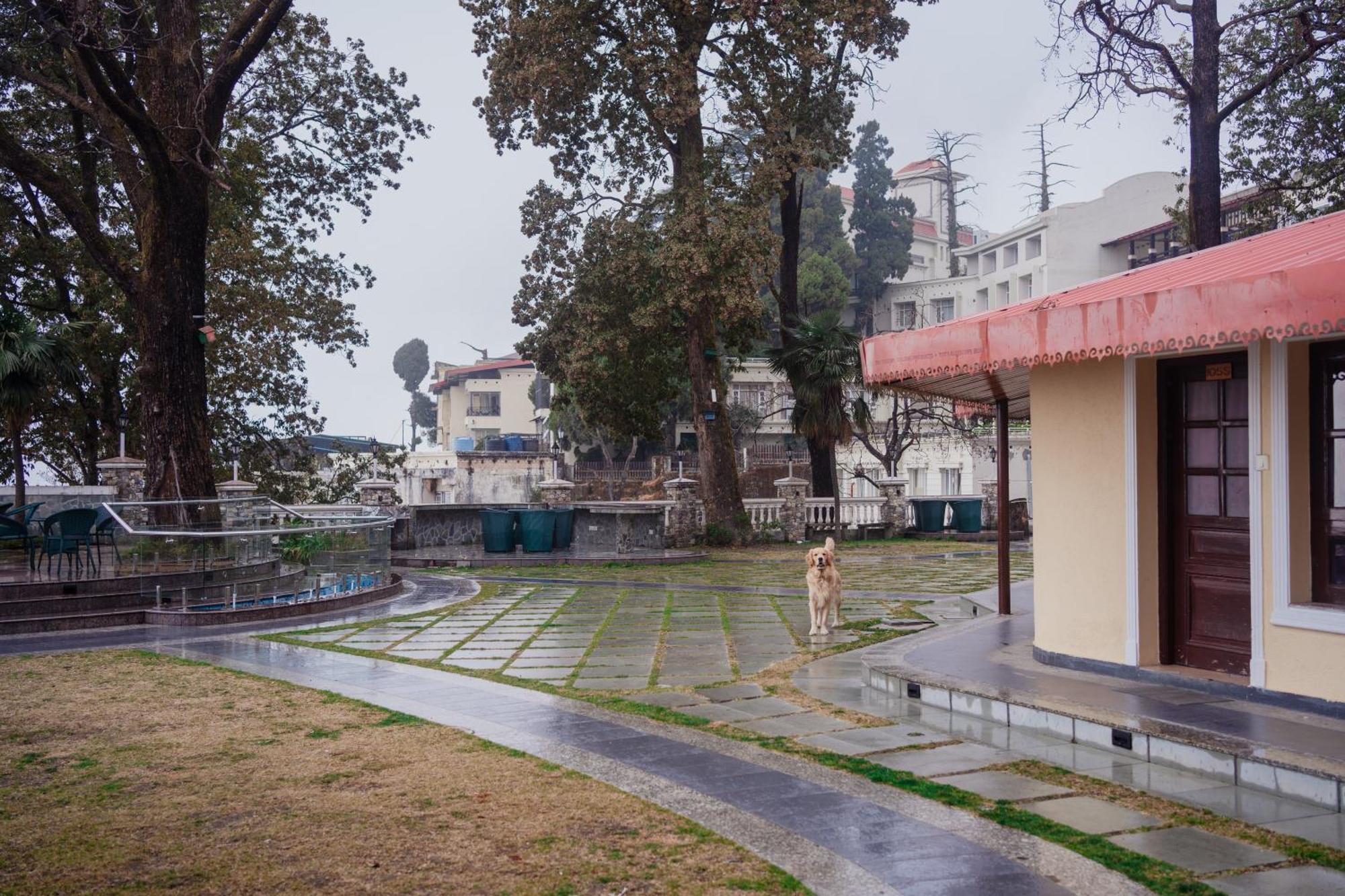 Bliss & Company By Hnh Hotel Mussoorie Bagian luar foto